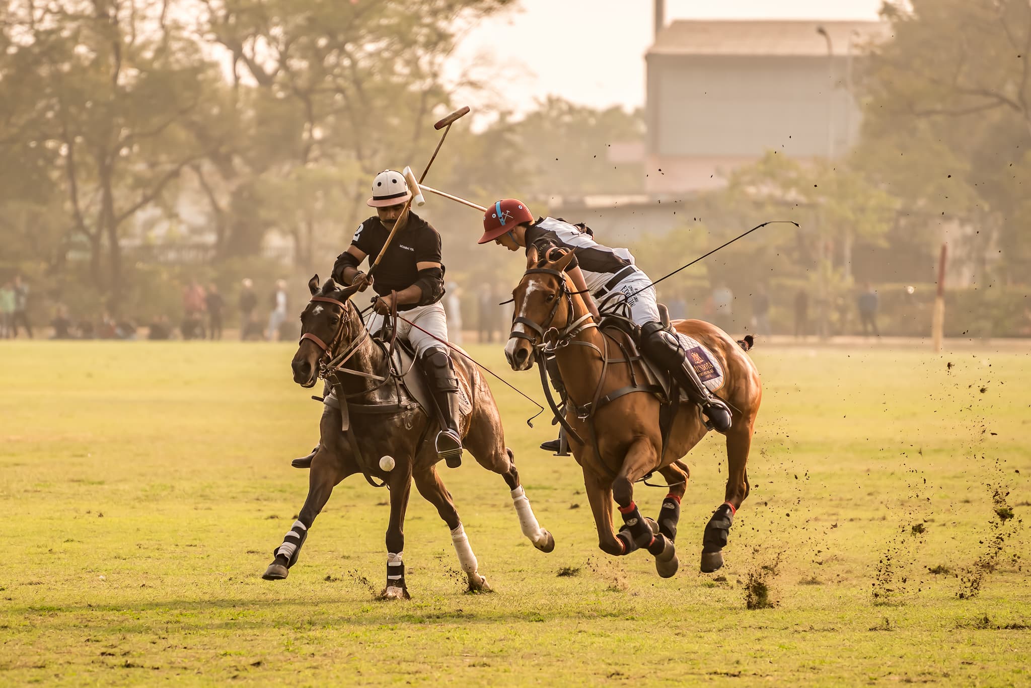 Polo action frame on the contact sheet